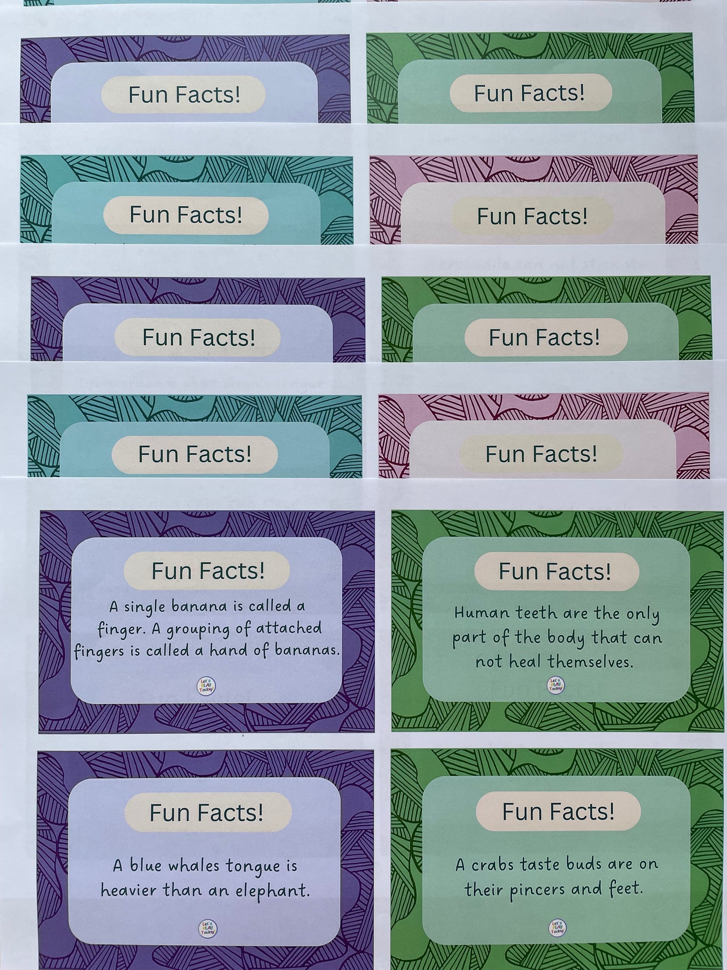 Fun Facts!